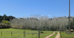 Terreno à venda , fráguas s/n