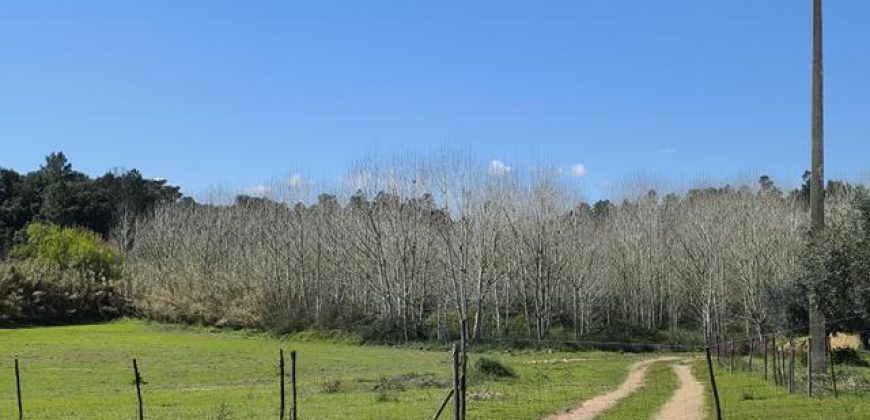 Terreno à venda , fráguas s/n
